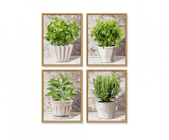 Aromates Aromates