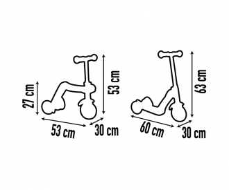 Reversible 2 In 1 Scooter