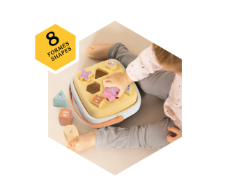 WTP Shape Sorter Basket