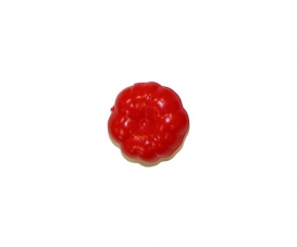 TOMATE TOMATE