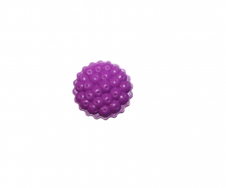Myrtille Pour Tartelette
