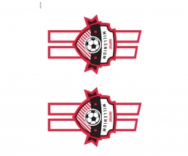 MILLENIUM - AAL3625 MILLENIUM - AAL3625