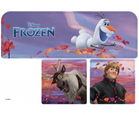 PLANCHE ADH. 1 MAISON FROZEN 810719 PLANCHE ADH. 1 MAISON FROZEN 810719