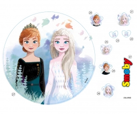 PLANCHE ADH. N PLANCHE ADH. N