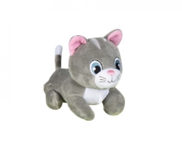 CHAT PELUCHE