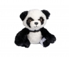 Peluche Panda + Bandage