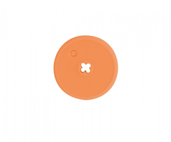 Poivron Orange 1505 Grappe De 2