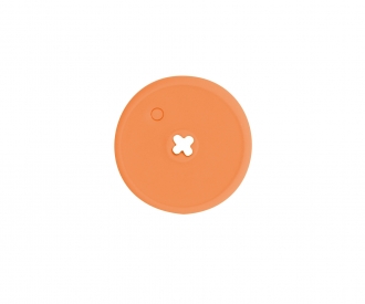 Poivron Orange 1505 Grappe De 2
