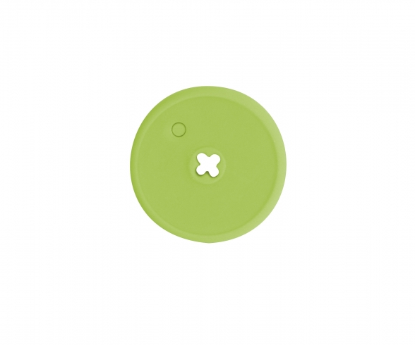 POIVRON VERT 382
