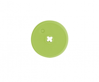 POIVRON VERT 382