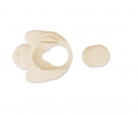 BOUTON + TETE TORTUE BEIGE 7506 BOUTON + TETE TORTUE BEIGE 7506