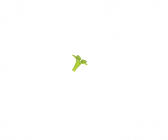 Pedoncule Vert 382