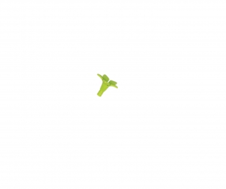 Pedoncule Vert 382