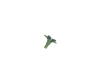 Pédoncule Vert 4181