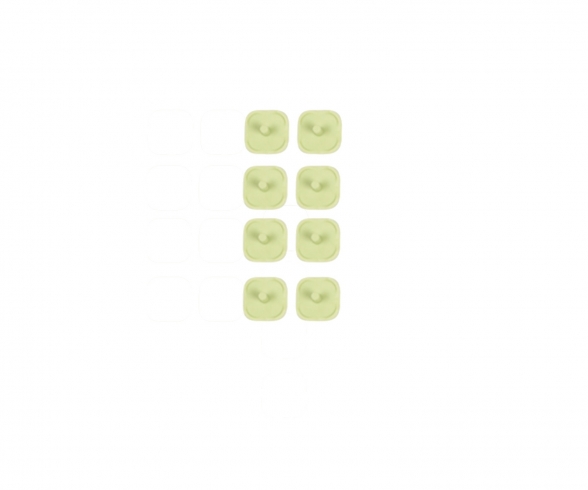 8 Pions Vert 579