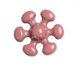 PIEUVRE ROSE 2341 PIEUVRE ROSE 2341