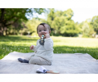 EH Baby Pure Teether
