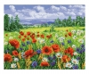 Prairie en fleurs - peinture par numéros Prairie en fleurs - peinture par numéros