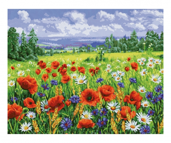 Prairie en fleurs - peinture par numéros