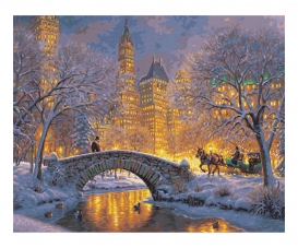 Silent Night in Central Park - painting by numbers