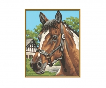 Portrait of a horse - painting by numbers