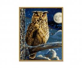 The Eagle Owl – Master of the Night