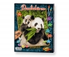 Pandas Pandas