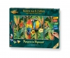 Parrots in the rain forest - painting by numbers