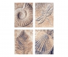 Fossilien Malen nach Zahlen Fossilien Malen nach Zahlen