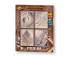 Fossils - painting by numbers