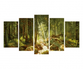 Notre forêt Notre forêt