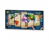 Colorful World – Our world in a play of colors Colorful World – Our world in a play of colors
