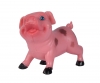 Funny Animals - Farm