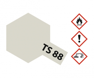 TS-88 Titan Silber 100ml Spray